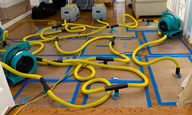 Professional Emergency Water Removal technician working in Olney, TX